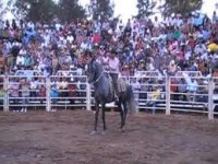 /album/fotogaleria/a30-espa-jpg/